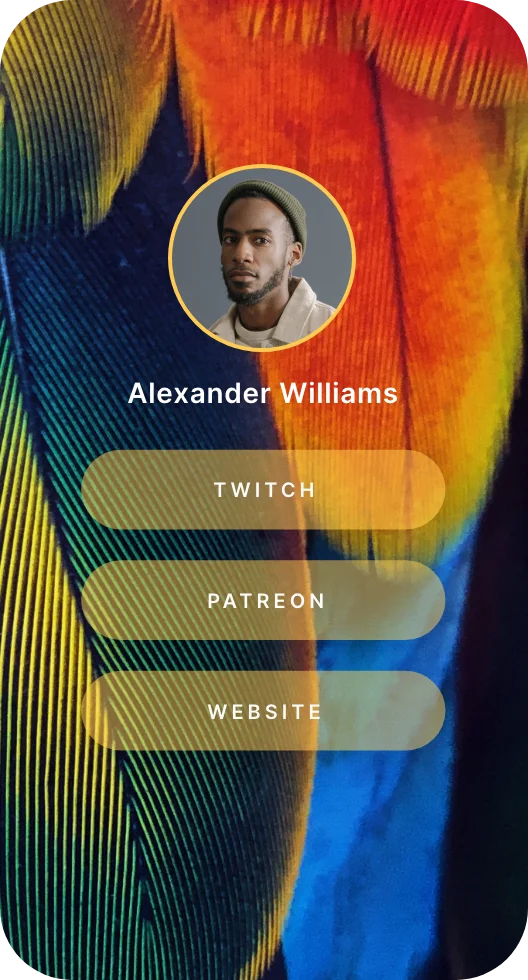 wonderlink - reference 5